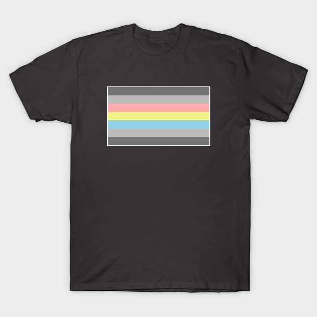 Demiflux Gender Identity Flag T-Shirt by AnnaBanana